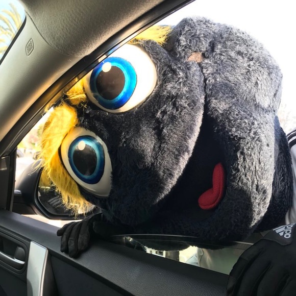 Meet your Posher, Fredy - Picture 1 of 1